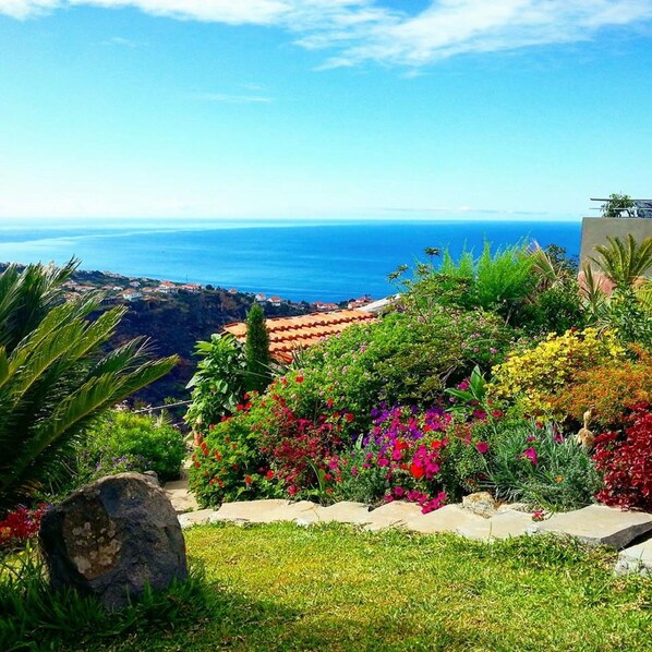 Property grounds - Amazing views, large terrace and garden. (Madère)