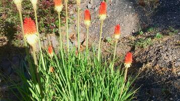 Àrea exterior de l'allotjament