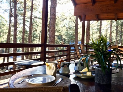 Log Cabin in tall pines, backs to forest, great hiking, star-gazing, biking!