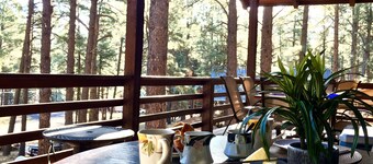 Log Cabin in tall pines, backs to forest, great hiking, star-gazing, biking!