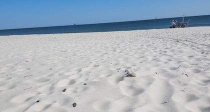 Castaway II - less than 100 yards walking distance to the beach