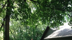 Ein Haus mit überdachter Terrasse, einem Rasen und einem großen Baum im Vordergrund.