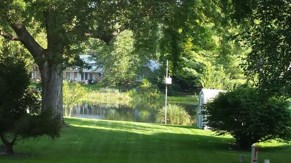 A serene lakeside view with a grassy area, a small shed, and a house in the background. - Lake views within walking distance to Notre Dame! (South Bend)