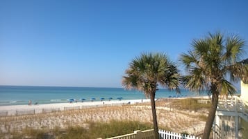 Plage, chaises longues