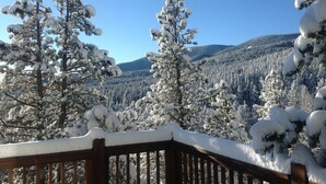 Una terraza de madera con árboles cubiertos de nieve y una montaña al fondo.