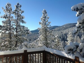 Property grounds - The Writers Nest - Perfect Summer Location BEAT THE HEAT at 9000 Feet (Evergreen)