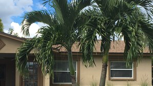 A house with a well-maintained lawn, two palm trees, and a window with blinds. - Coastal Cottage near beaches, dining & shopping! (Naples)