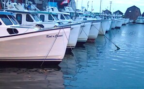 Port de plaisance