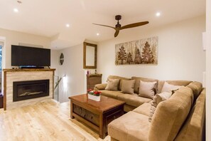 Älytelevisio, takka, stereot