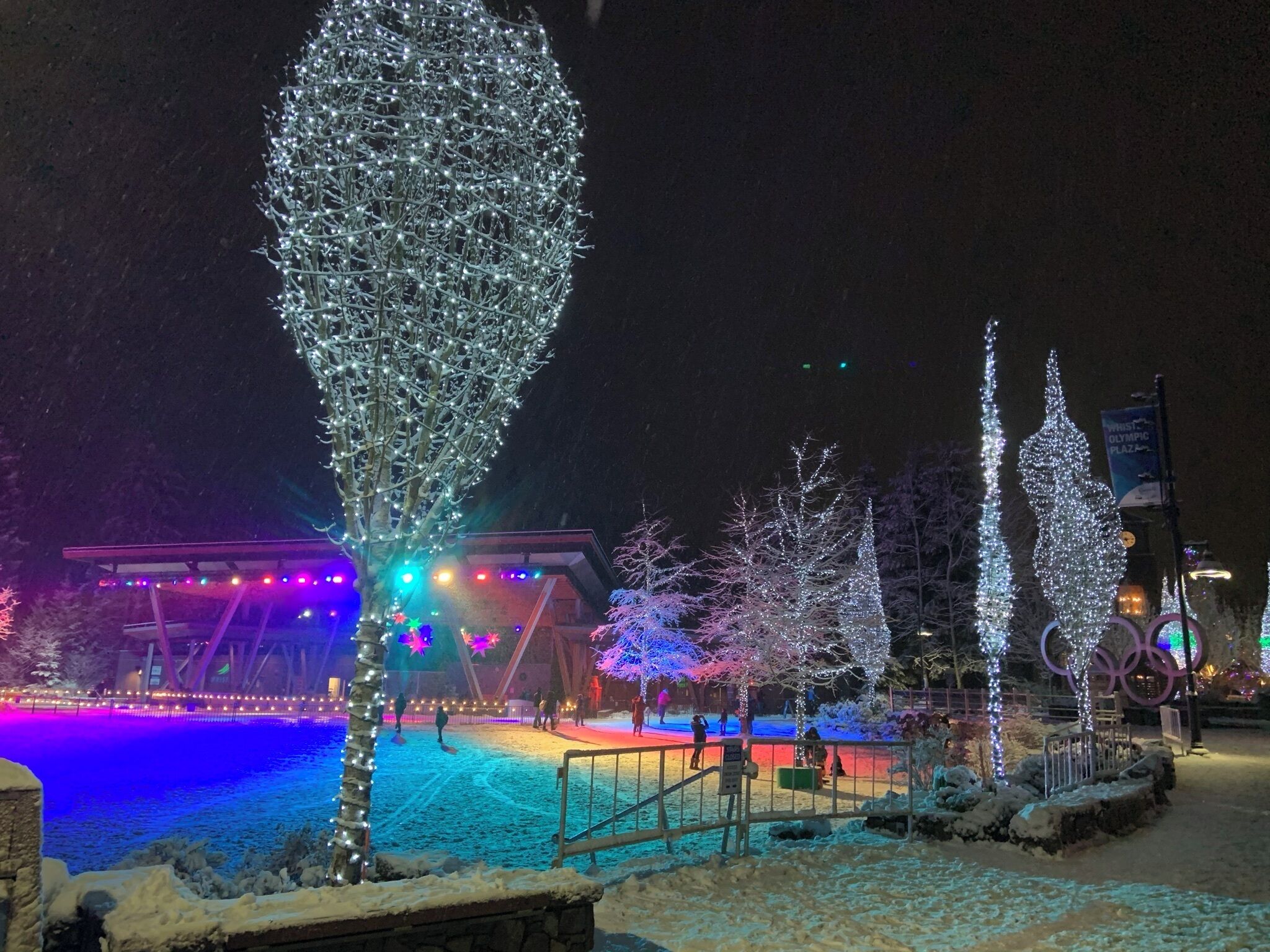 Snø- og skisport