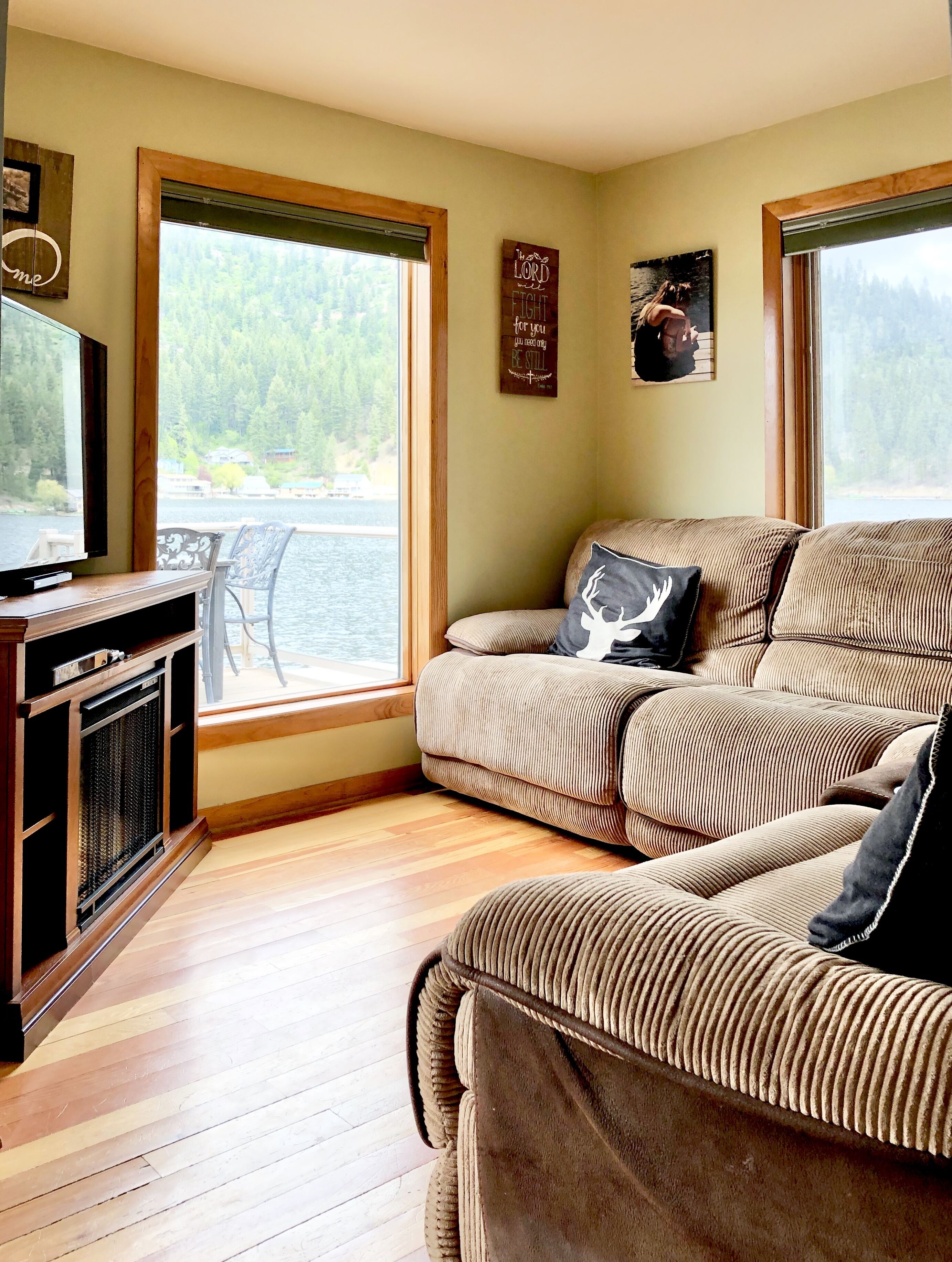 Flat-screen TV, fireplace, books, music library