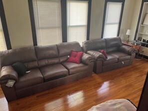 Smart TV, fireplace, DVD player, video library