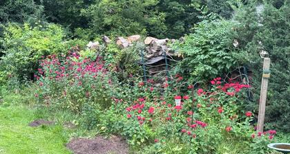 Twin Lakes Alquiler una cuadra del lago Elizabeth