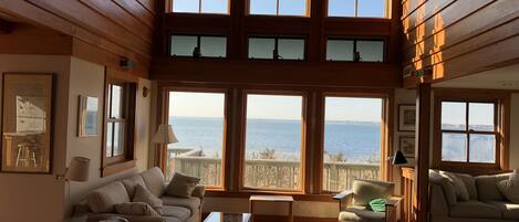 Televisión, reproductor de DVD, mesa de ping pong, libros