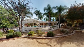 Terrace/patio - Walking distance to Lorimar, South Coast & Ponte Winery! Stunning Estate! (Temecula)