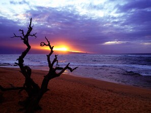 Sun loungers, beach towels - Upcountry Short Term Rental Home with Ocean and Mt Views, Close to Makawao Town. (Makawao)