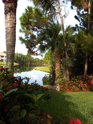 View from pool and cabana at Imperial Golf Estates, Naples