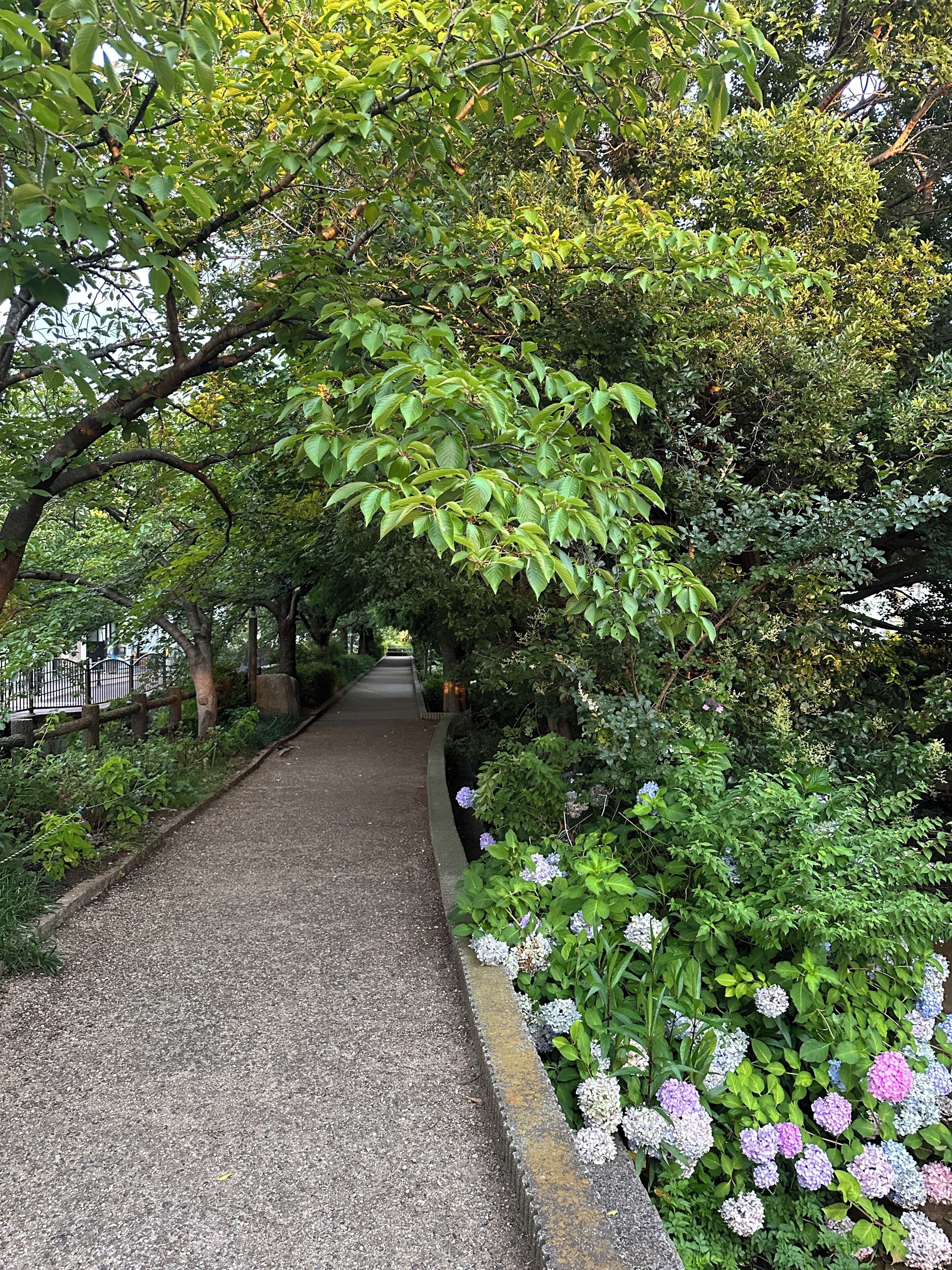 A pathway flanked by lush greenery and flowering plants.