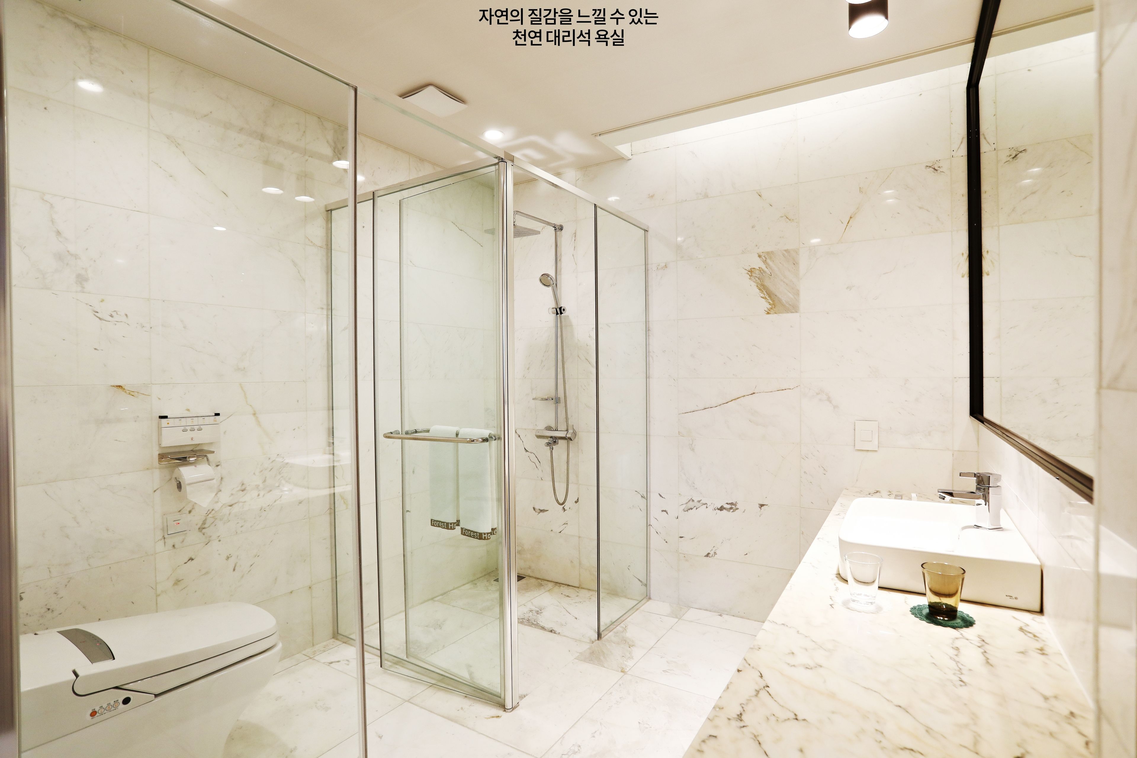 A modern bathroom with a glass-enclosed shower, a toilet, and a sink with a mirror above it.