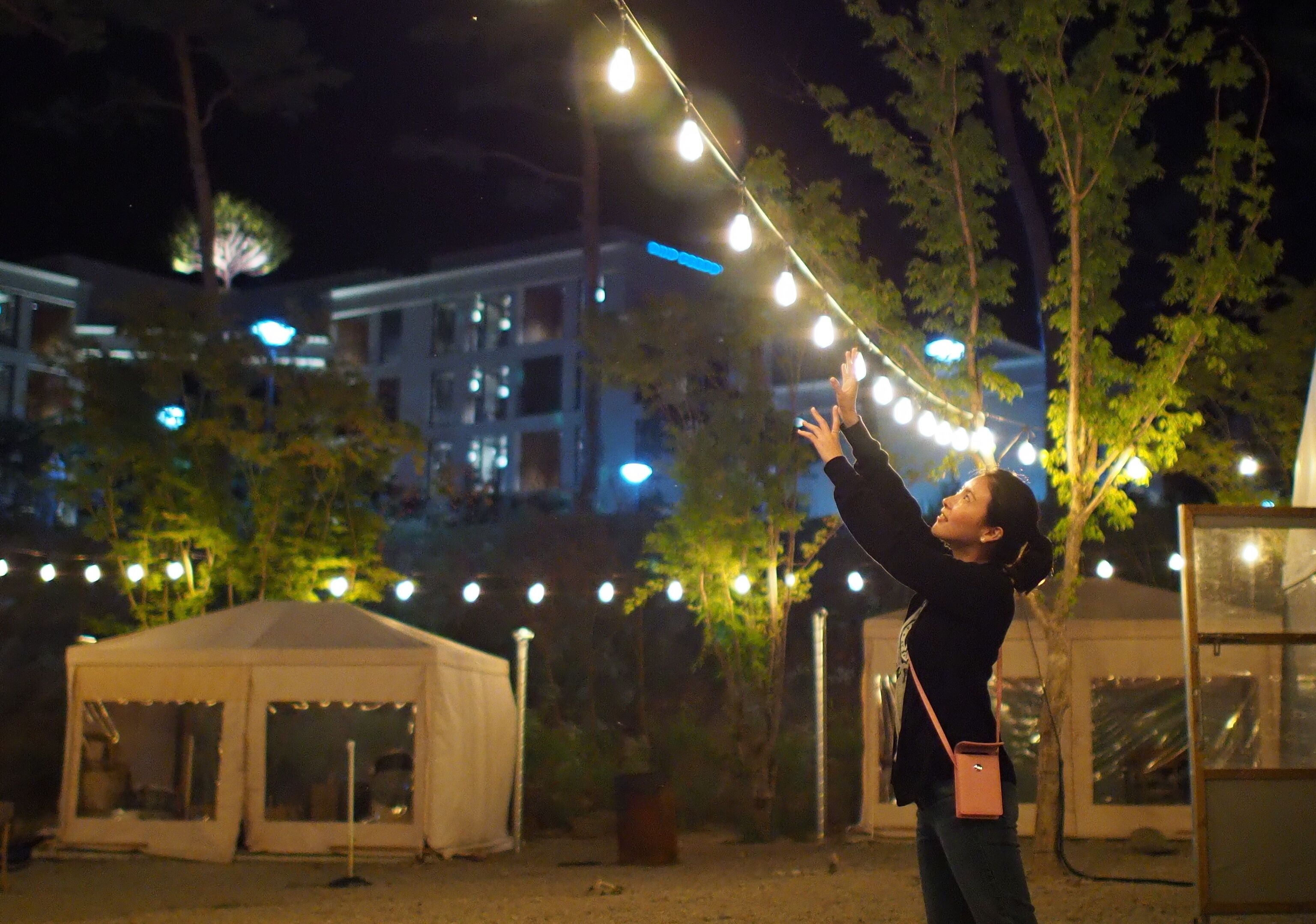 A tent with a clear roof, surrounded by trees and string lights.