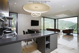 Penthouse | Living area | 49-inch flat-screen TV with cable channels, TV