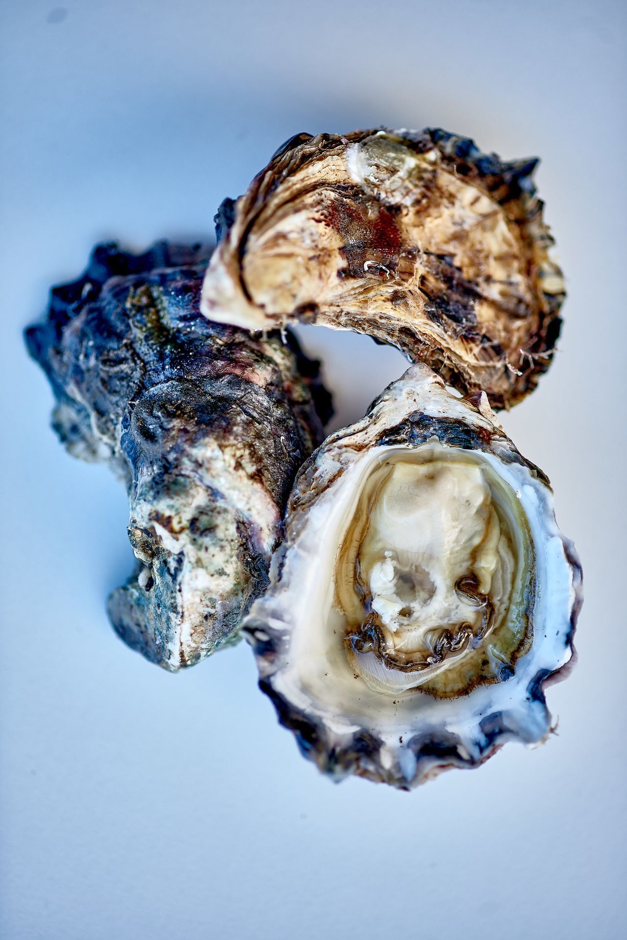 3 restaurants, lunch served