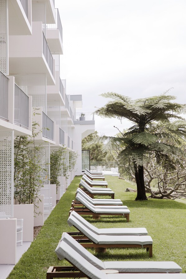 Una fila de sillas reclinables blancas alineadas a lo largo de un sendero cubierto de césped, que conduce a un edificio moderno con balcones y un gran árbol al fondo.