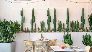 Un comedor con sillas de mimbre y una mesa, rodeado de plantas en macetas y cactus en la pared.