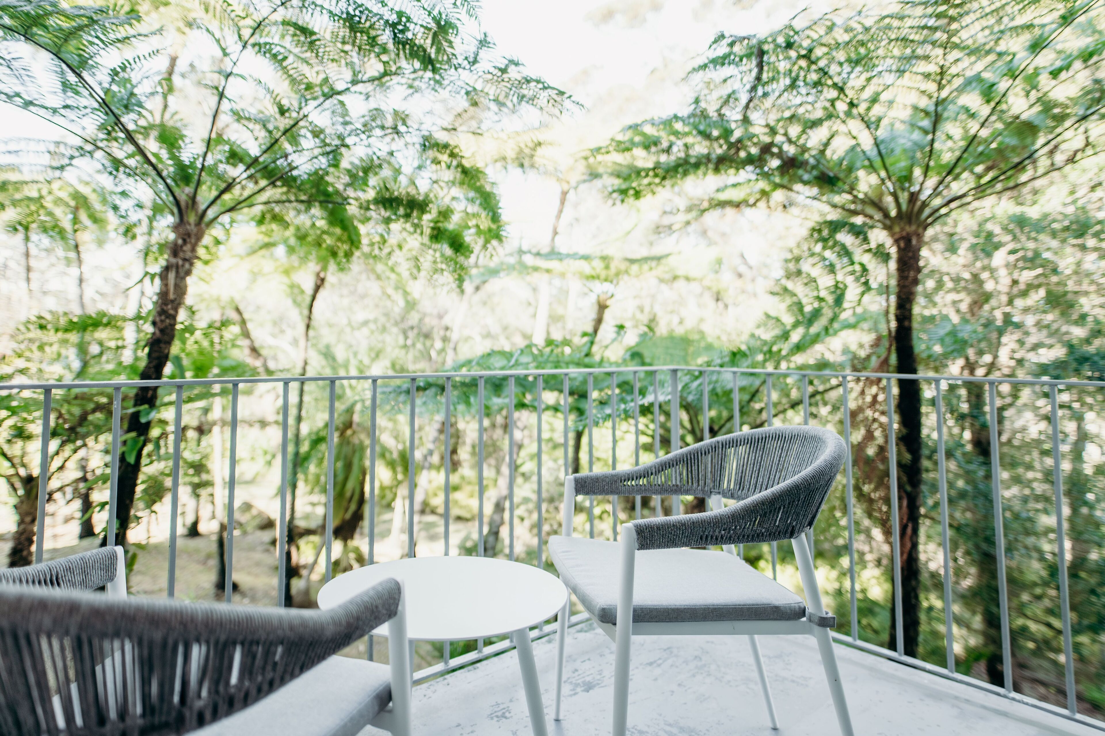 classic double room, garden view | balcony