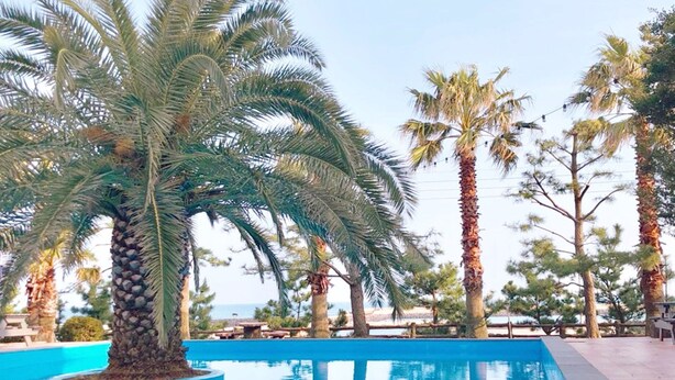 Outdoor pool - Bigssum Guest House - Hostel (Seogwipo)