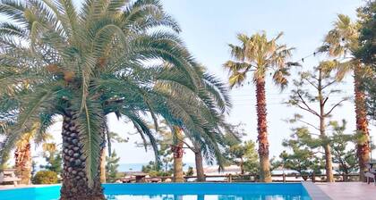 Bigssum Guest House - Hostel