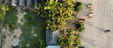 An aerial view of a beachside property with several thatched-roof structures, palm trees, and a sandy beach.
