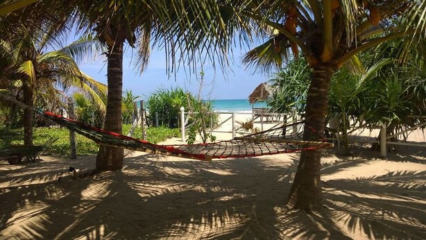 Un hamac tendu entre deux palmiers, avec vue sur une plage et une structure à toit de chaume en arrière-plan.