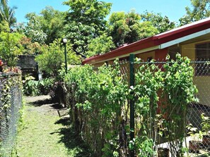 Garden - Casa Consuelo (Gubat)