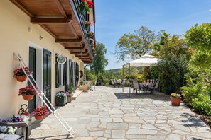 Terras