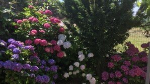 Property grounds - B&B Casa Joop (Magnano)