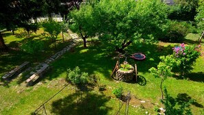 Un jardín con un sendero de piedra, un banco de madera y un pequeño árbol.