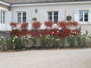 Front of property - Chambres d'hôtes Le Calme (Denice)