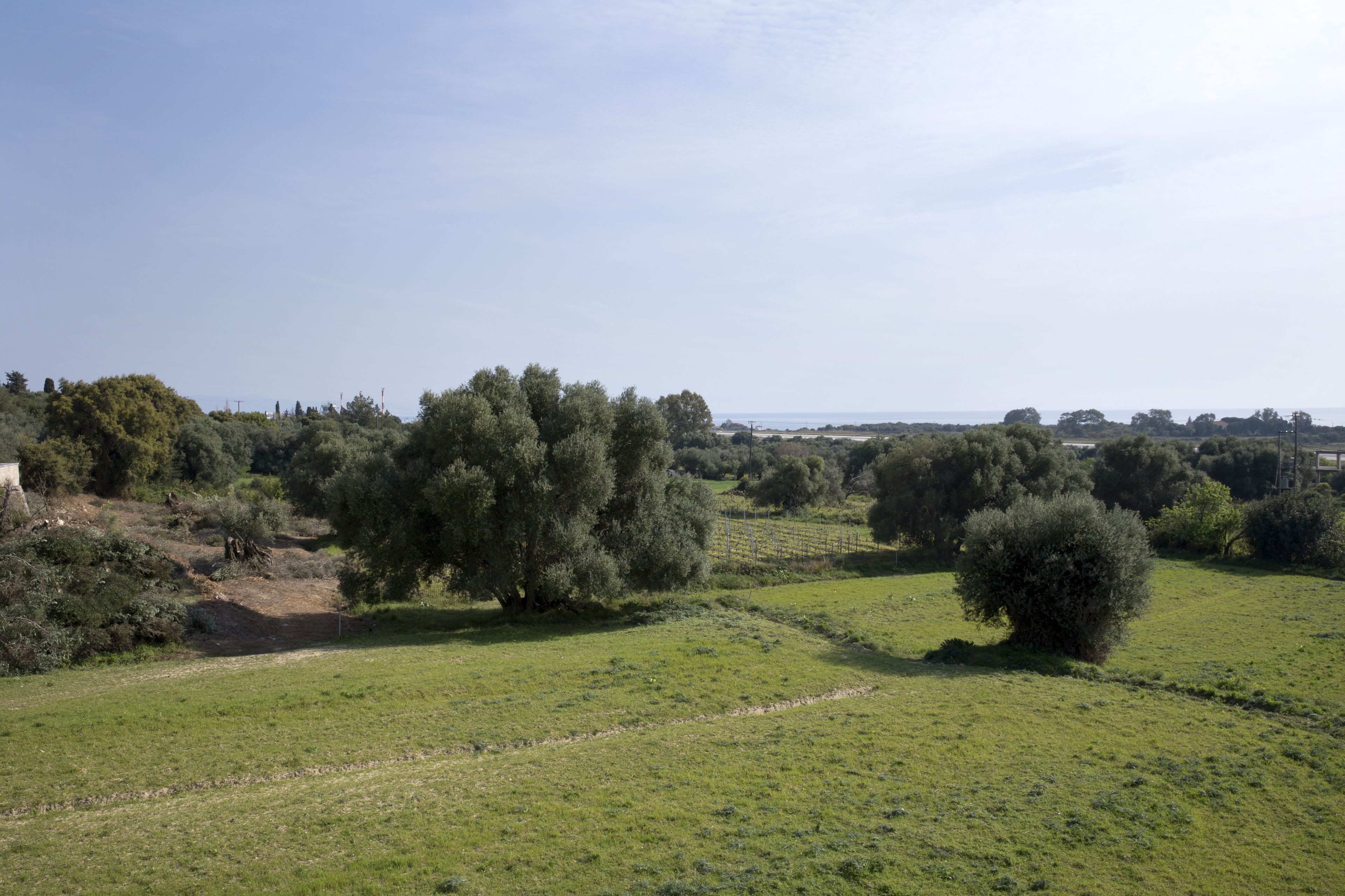 Een landelijk landschap met glooiende heuvels, verspreide bomen en een heldere lucht.