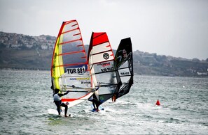 Una competición de windsurf con varias tablas de vela en el agua.