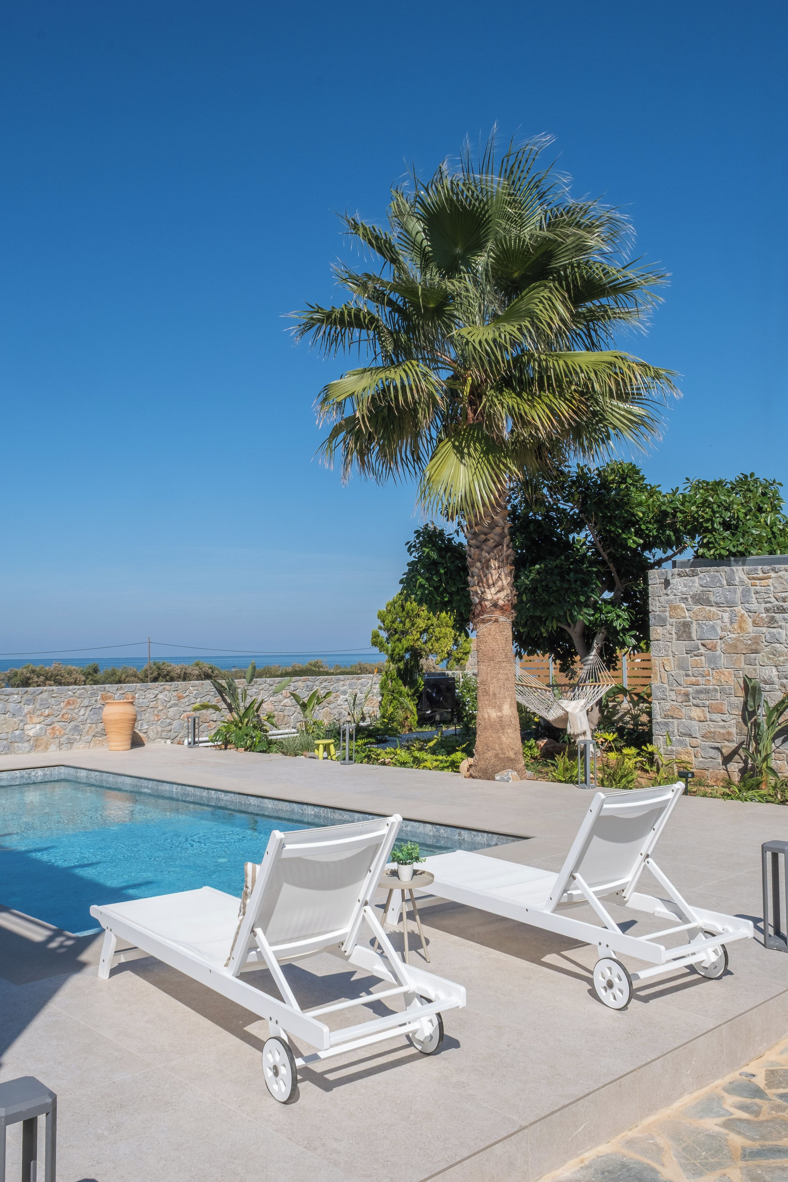 A poolside area with lounge chairs, a palm tree, and a view of the ocean.