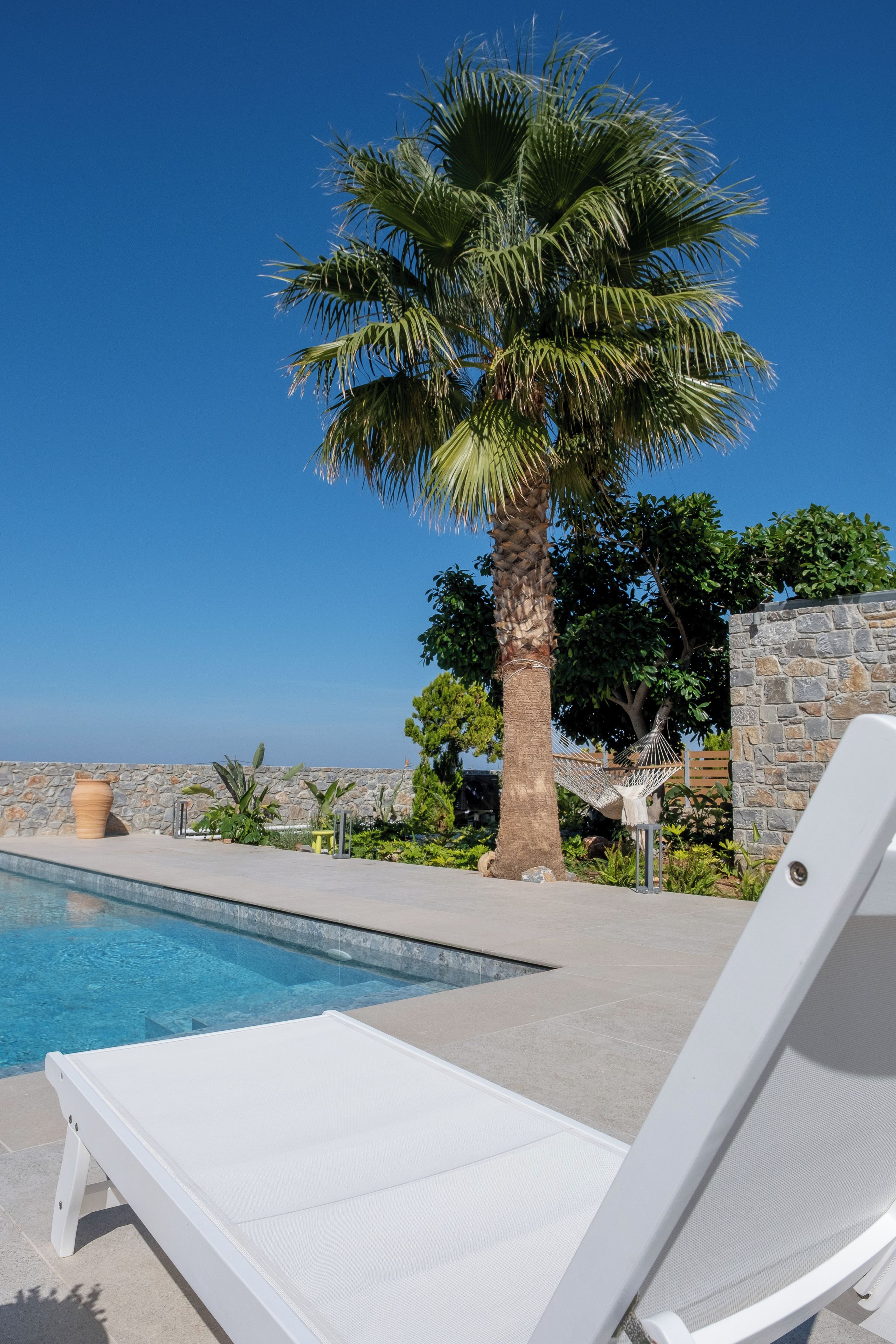 A poolside area with a lounge chair, a palm tree, and a stone wall.