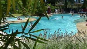 A swimming pool surrounded by lush greenery and palm trees, with people swimming and relaxing. - Camping Le Botanic (Fabregues)