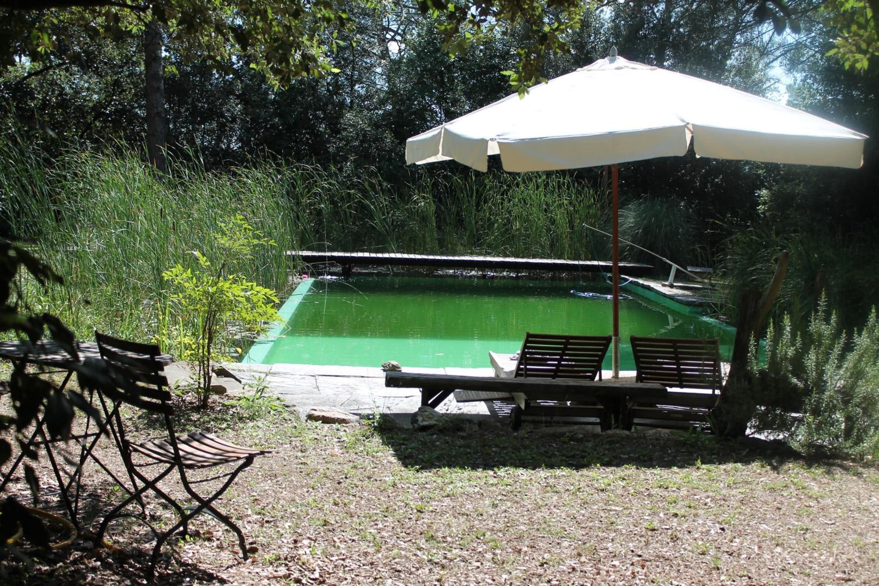 Kolam renang outdoor musiman, dengan payung kolam renang