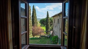 An open window revealing a garden with a pergola, trees, and a building in the background. - Il Poggio B&B (Scandicci)