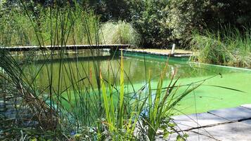 Ein Teich mit einer Holzterrasse und umgebender Bepflanzung.