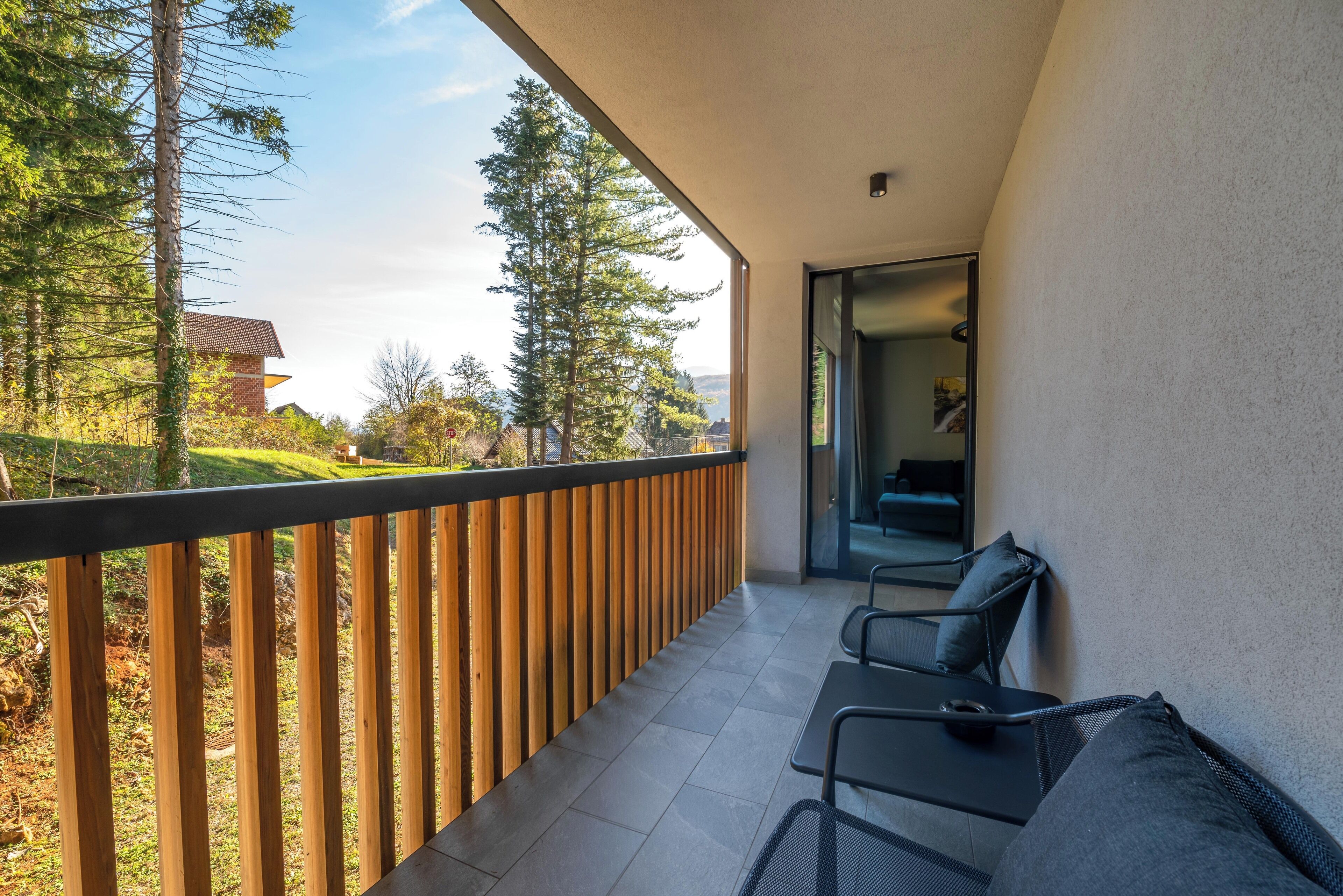 deluxe suite | terrace/patio