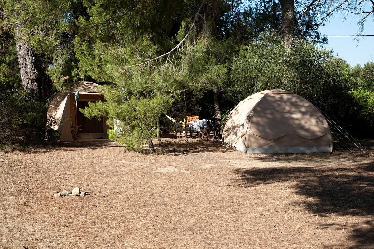Un terrain de camping avec deux tentes, l’une avec un toit en forme de pignon et l’autre avec un toit en forme de dôme, le tout entouré d’arbres.