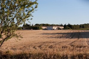 Paisatge rural amb un camp, un edifici i arbres al fons.