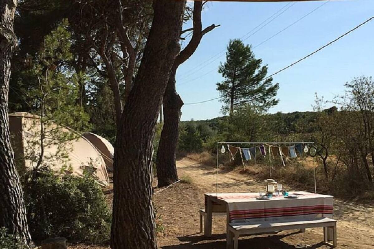 Un terrain de camping avec une table installée sous un auvent, entouré d’arbres et une tente en arrière-plan.